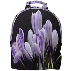 Crocus Flowers Purple Flowers Spring Nature Mini Full Print Backpack by Ravend