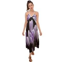 Crocus Flowers Purple Flowers Spring Nature Halter Tie Back Dress  by Ravend