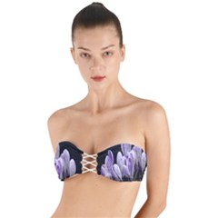 Crocus Flowers Purple Flowers Spring Nature Twist Bandeau Bikini Top by Ravend