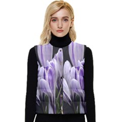 Crocus Flowers Purple Flowers Spring Nature Women s Short Button Up Puffer Vest by Ravend