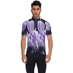 Crocus Flowers Purple Flowers Spring Nature Men s Short Sleeve Cycling Jersey