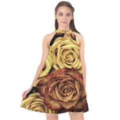 Flowers Roses Plant Bloom Blossom Halter Neckline Chiffon Dress  by Ravend