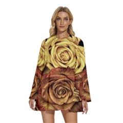 Flowers Roses Plant Bloom Blossom Round Neck Long Sleeve Bohemian Style Chiffon Mini Dress