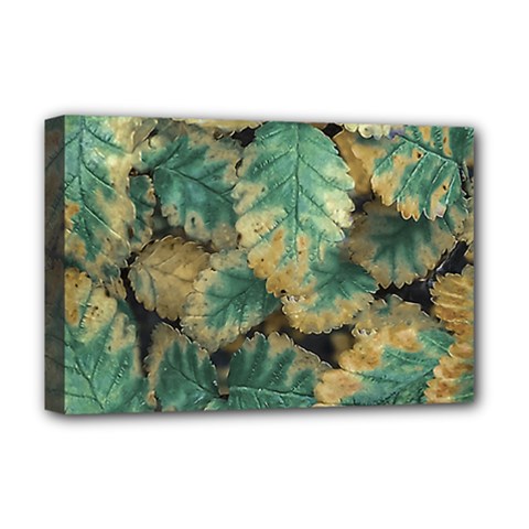 Colored Close Up Plants Leaves Pattern Deluxe Canvas 18  X 12  (stretched) by dflcprintsclothing