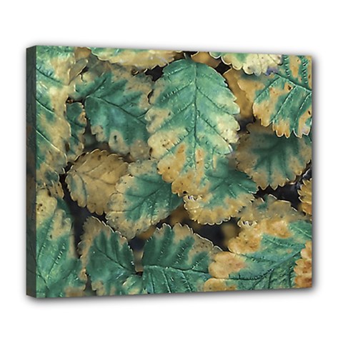 Colored Close Up Plants Leaves Pattern Deluxe Canvas 24  X 20  (stretched) by dflcprintsclothing