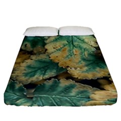 Colored Close Up Plants Leaves Pattern Fitted Sheet (queen Size) by dflcprintsclothing