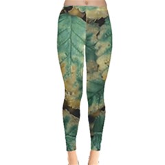 Colored Close Up Plants Leaves Pattern Leggings  by dflcprintsclothing