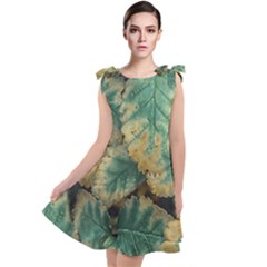 Colored Close Up Plants Leaves Pattern Tie Up Tunic Dress by dflcprintsclothing