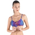 Fractal Fractals Spiral Vortex Blue Dark Art Tie Up Cut Bikini Top View1