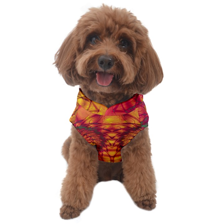 Art Pattern Fractal Design Abstract Artwork Dog Sweater