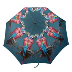 Birds Parrots Love Ornithology Species Fauna Folding Umbrellas by danenraven