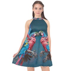 Birds Parrots Love Ornithology Species Fauna Halter Neckline Chiffon Dress  by danenraven