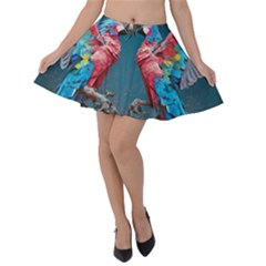 Birds Parrots Love Ornithology Species Fauna Velvet Skater Skirt by danenraven