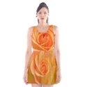 Flower Plant Rose Nature Garden Orange Macro Scoop Neck Skater Dress View1