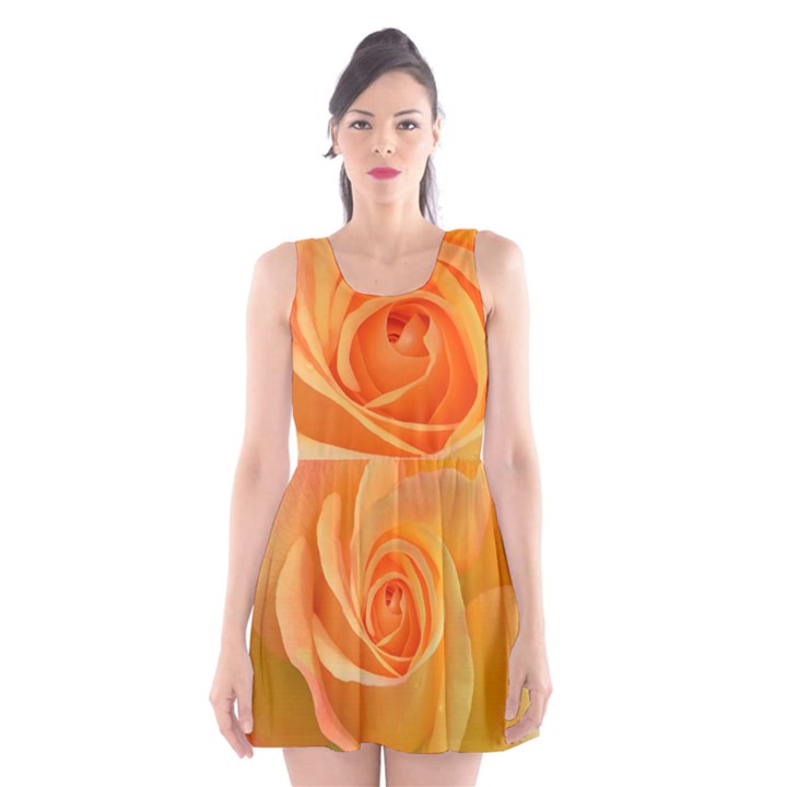 Flower Plant Rose Nature Garden Orange Macro Scoop Neck Skater Dress