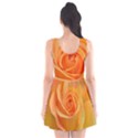 Flower Plant Rose Nature Garden Orange Macro Scoop Neck Skater Dress View2