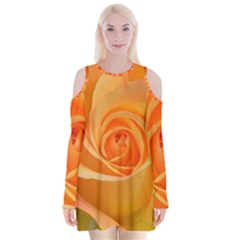 Flower Plant Rose Nature Garden Orange Macro Velvet Long Sleeve Shoulder Cutout Dress by Ravend