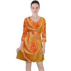 Flower Plant Rose Nature Garden Orange Macro Quarter Sleeve Ruffle Waist Dress by Ravend