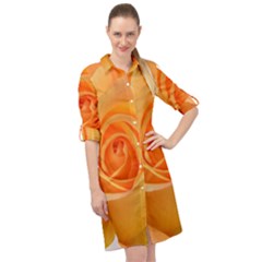 Flower Plant Rose Nature Garden Orange Macro Long Sleeve Mini Shirt Dress by Ravend