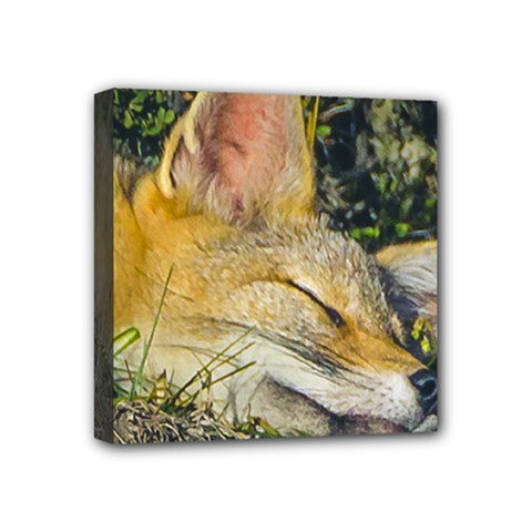 Fox Sleeping Closeup Photo Mini Canvas 4  X 4  (stretched)