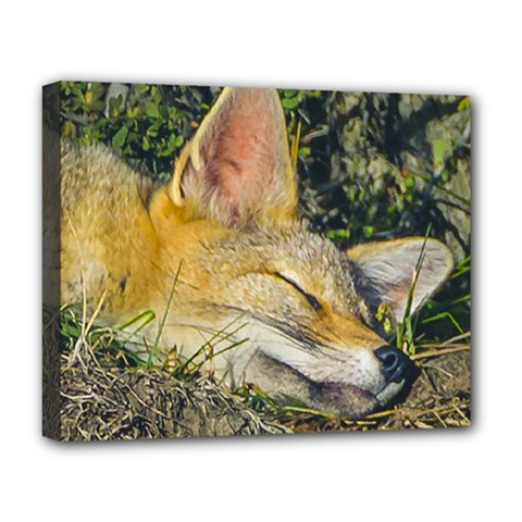 Fox Sleeping Closeup Photo Deluxe Canvas 20  X 16  (stretched) by dflcprintsclothing