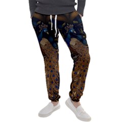 Peacock Plumage Bird Decorative Pattern Graceful Men s Jogger Sweatpants by Ravend