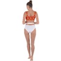 Background Ornamental Pattern Abstract Seamless Bandaged Up Bikini Top View2