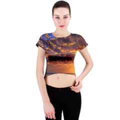 Orange Sunburst Crew Neck Crop Top by GardenOfOphir