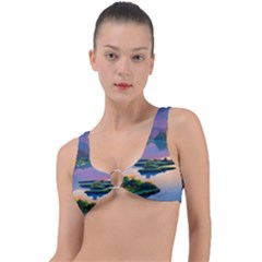 Astonishing Lake View Ring Detail Bikini Top by GardenOfOphir