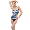 Solemn Soft Pastel Sunset Plunging Cut Out Swimsuit View1