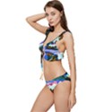 Solemn Soft Pastel Sunset Low Cut Ruffle Edge Bikini Set View2