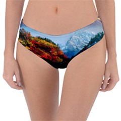 Breathtaking Landscape Scene Reversible Classic Bikini Bottoms by GardenOfOphir