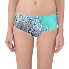 Dandelion Mid-waist Bikini Bottoms by artworkshop