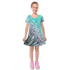 Dandelion Kids  Short Sleeve Velvet Dress by artworkshop