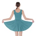 Turkish Blue	 - 	Skater Dress View2