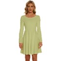 Faded Jade	 - 	Long Sleeve Wide Neck Velvet Dress View1