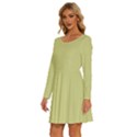 Faded Jade	 - 	Long Sleeve Wide Neck Velvet Dress View2