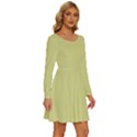 Faded Jade	 - 	Long Sleeve Wide Neck Velvet Dress View3