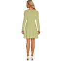 Faded Jade	 - 	Long Sleeve Wide Neck Velvet Dress View4