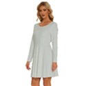 Pearl River Grey	 - 	Long Sleeve Wide Neck Velvet Dress View2