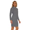 Nickel Grey	 - 	Long Sleeve Shirt Collar Bodycon Dress View3