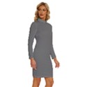 Sonic Silver Grey	 - 	Long Sleeve Shirt Collar Bodycon Dress View3