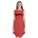 Madder Lake	 - 	Sleeveless Chiffon Dress View1