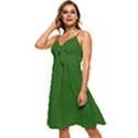 Lincoln Green	 - 	Sleeveless Tie Front Chiffon Dress View2