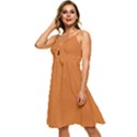 Sandstone Orange	 - 	Sleeveless Tie Front Chiffon Dress View2