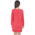 Red Salsa	 - 	Long Sleeve Chiffon Shift Dress View2