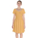 Bees Wax Orange	 - 	Short Sleeve Bardot Dress View1