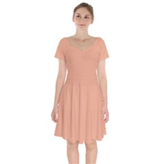 Coral Sands Orange	 - 	short Sleeve Bardot Dress