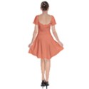 Burnt Sienna Orange	 - 	Short Sleeve Bardot Dress View2