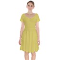 Ceylon Yellow	 - 	Short Sleeve Bardot Dress View1